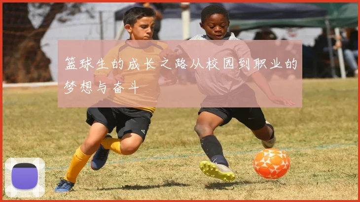 篮球生的成长之路从校园到职业的梦想与奋斗