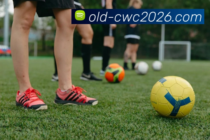 世界杯中国APP 封面图